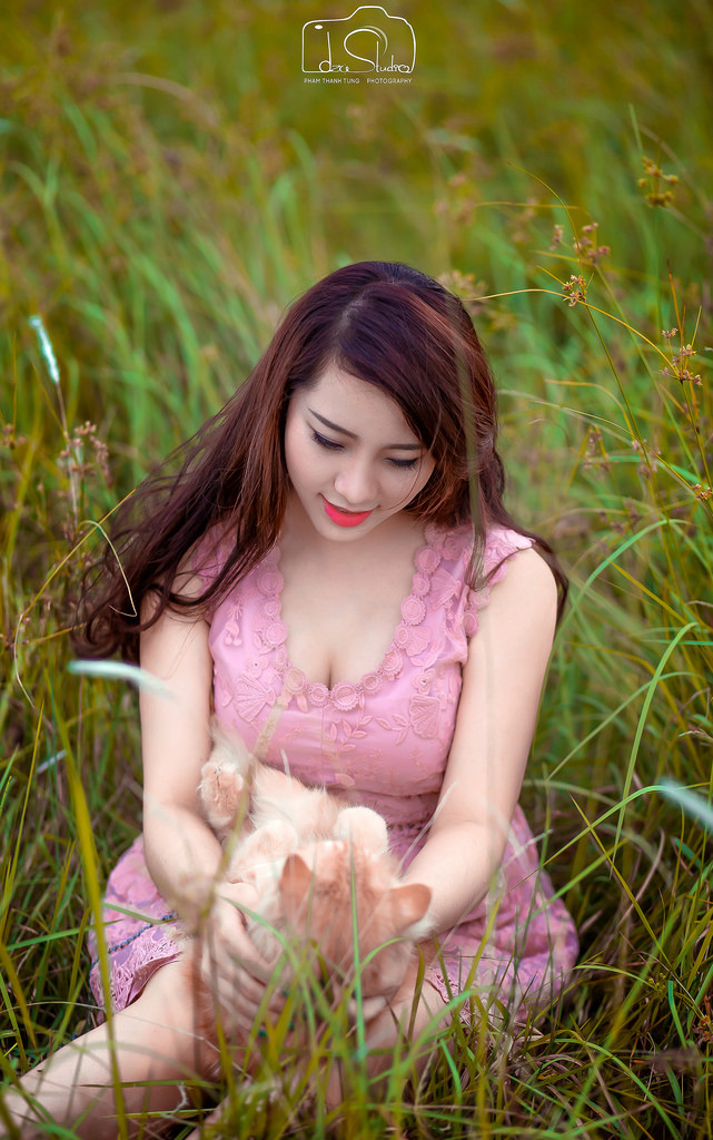 电视剧软弱全集免费观看